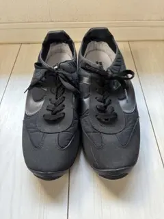 Item thumbnail for item 211c38bf-49cc-4483-a2fa-53c47f23058d