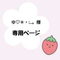 ゆ♡✽・:..。様専用ページ