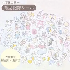 育児記録 赤ちゃんシール くすみカラー73種類（セルフカット）
