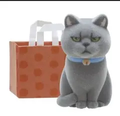 紙袋に入った猫　フロッキー　グレー