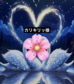 カリキリッ様リクエスト⭐️2946 カリキリッ様リクエスト⭐️2946 - メルカリ