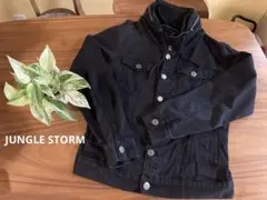 メンズ　ジャケット　アウター　Lサイズ　ジャングルストーム
