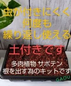 ともちゃん☆プロフ必読願います☆様 リクエスト 2点 まとめ商品