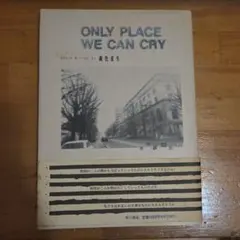【美品】ONLY PLACE WE CAN CRY 朝比奈夏生