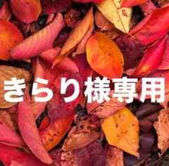 きらり様専用 おまとめ同梱 益子焼 掛分5寸皿