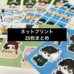 ウィンブレ 進撃の巨人 ファントムバスターズ コナン ネップリ ブルロ 25枚のサムネイル