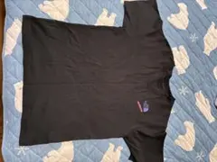 THE NORTH FACE Tシャツ Mサイズ ブラック　EXTREME