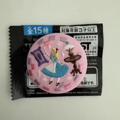 ディズニー　刺繍缶バッジ　不思議の国のアリス