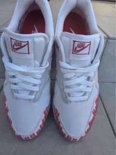 Nike Air Max 1 