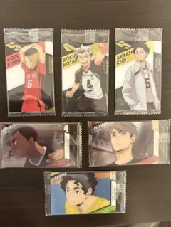 ハイキュー!!ウエハース 孤爪研磨 木兎光太郎 赤葦京治 宮治 佐久早聖臣