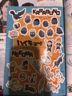 ハイキュー!! カラスノ・ネコマ ステッカーセット