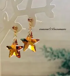 数量限定希少　輝く金星のスワロ のドロップピアス【サージカルステンレス】