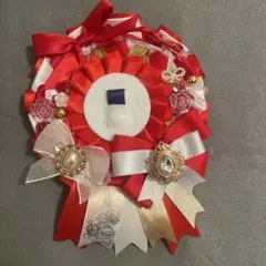 赤系　ロゼット