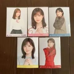 【レア入り】生田絵梨花　生写真まとめ売り（限定ポストカード付き）