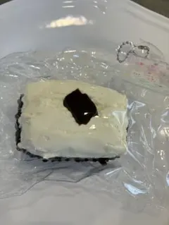 snowcake スクイーズ チョコレートケーキ
