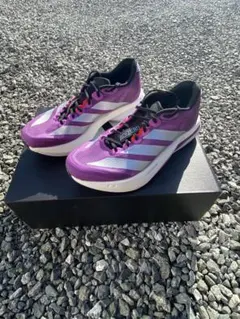 Item thumbnail for item 4eb437c7-86ed-4706-8d65-a761b2dbe0cf