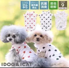 新品同様♡iDOGのサムネイル