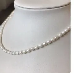 Item thumbnail for item 34127b11-0230-4fe1-916c-2754a0e08aa2