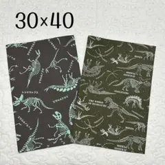 ランチョンマット 30×40 2枚セット　恐竜柄　ダイナソー　男の子用　給食用