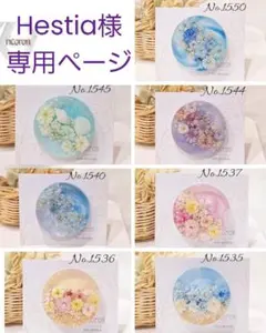 Hestia様専用ページ