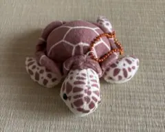 カメのぬいぐるみ