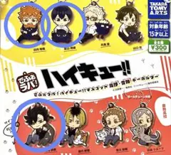 ハイキュー でふぉラバ！ マスコット 烏野 音駒 キーホルダー