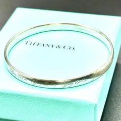 ティファニー 希少 ノーツ サークル バングル ブレスレット XQ1fe