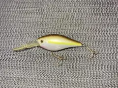 Item thumbnail for item 8a5edffd-f5ad-436e-b79d-5cc7965b65f9