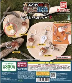 Item thumbnail for item 0603e573-8bc9-4be5-9c42-33f95ab0a220