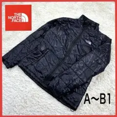 送料無料！ ノースフェイス レアカラー ゆるめ 00s 中綿 ナイロン ブルゾン