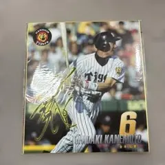 金本知憲選手サイン入り記念グッズ 色紙