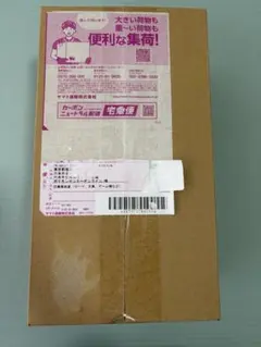 新品未開封　ポケモンセンター　スペシャルBOXヒロシマ　シュリンク・納品書付き