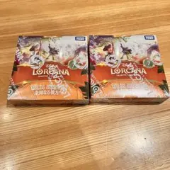 ロルカナ THE FIRST CHAPTER 物語のはじまり 2BOXセット - メルカリ