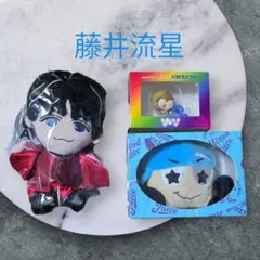 WEST. 神山智洋 ぬいぐるみ 奴ぬい 離しま線隊レインボー - メルカリ