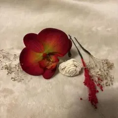 ヘッドピース　髪飾り　和装　胡蝶蘭　ゴールド 5点セット　結婚式/成人式