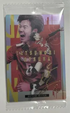 Item thumbnail for item 1f2e2197-311a-492a-8695-f888a9eef6e5