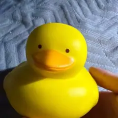 アヒル お風呂用おもちゃ 黄色のサムネイル