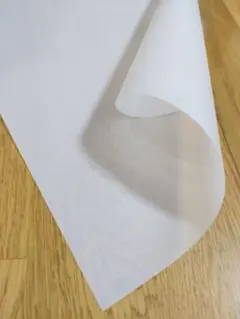 Item thumbnail for item 0c412008-19b4-4252-b6ac-f1418b747507