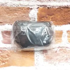 Item thumbnail for item 4f60f250-1c90-4064-9709-65b7a6917b46