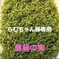 らむちゃん様専用