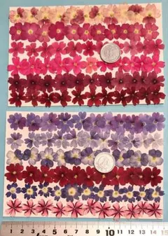 Item thumbnail for item b68dd4f6-b5de-419d-b768-b2aa9ab23a0b