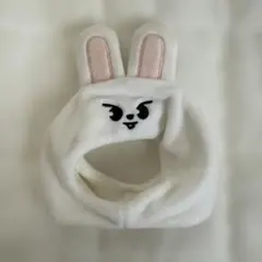 straykids leebit リービット ペンラカバー Ver.2 リノ