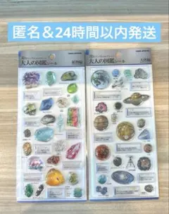 【正規品、新品】大人の図鑑シール　3Dビジュアルコレクション 2点セット