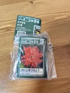 ジャポニカ学習帳 豆学習帳　じゅうちょう/ガチャガチャ