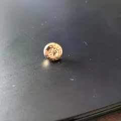 コーチ片耳用ピアスのサムネイル