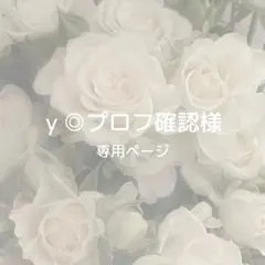 ｙ◎プロフ確認様専用ページ お急ぎ制作②