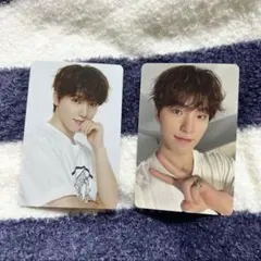 ディノ ケレン トレカ