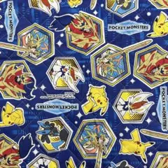 ポケットモンスター生地 はぎれ