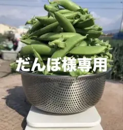 だんぼ様専用