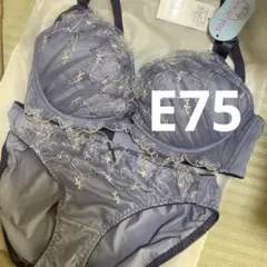 E75 チュチュアンナ　ブラショーツセット